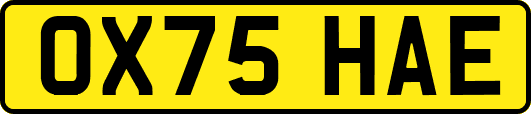 OX75HAE