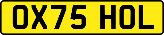 OX75HOL