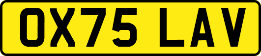OX75LAV