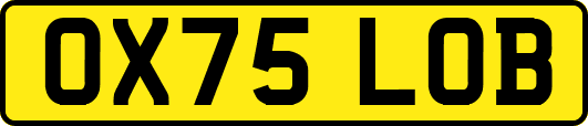 OX75LOB