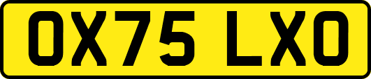 OX75LXO