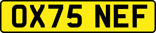 OX75NEF