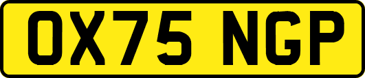 OX75NGP