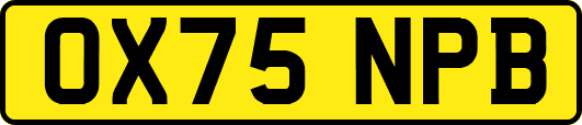 OX75NPB