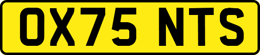 OX75NTS