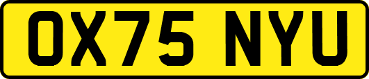OX75NYU