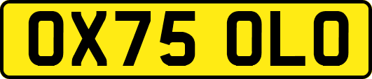OX75OLO