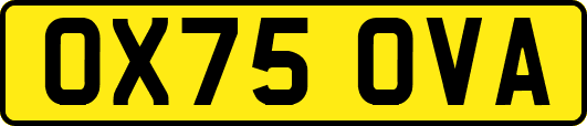 OX75OVA