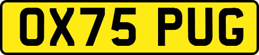 OX75PUG