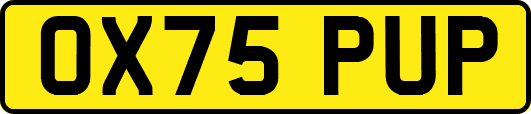 OX75PUP