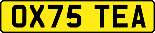 OX75TEA