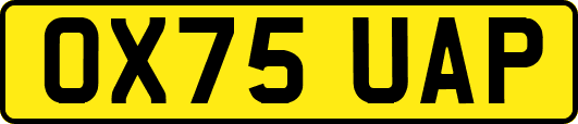 OX75UAP