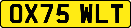 OX75WLT