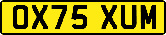 OX75XUM