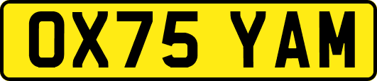 OX75YAM