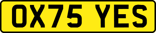 OX75YES