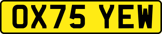 OX75YEW