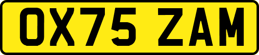 OX75ZAM
