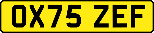 OX75ZEF