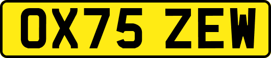 OX75ZEW