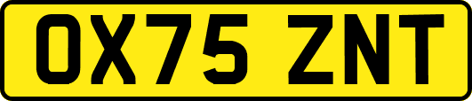 OX75ZNT