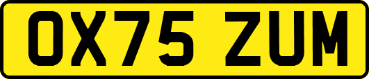 OX75ZUM