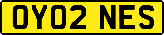OY02NES