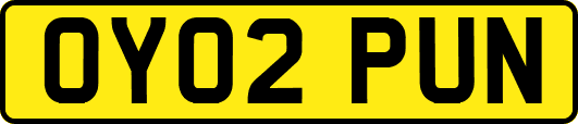 OY02PUN