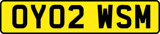 OY02WSM