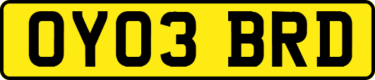 OY03BRD