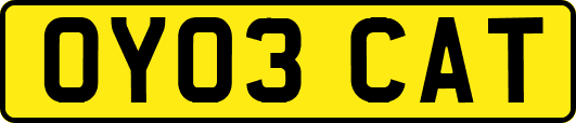 OY03CAT