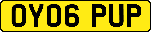 OY06PUP