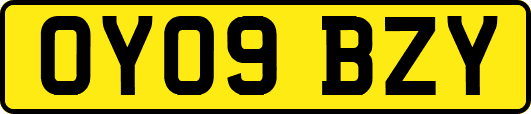 OY09BZY