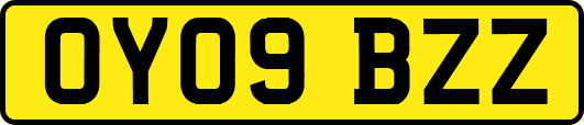 OY09BZZ