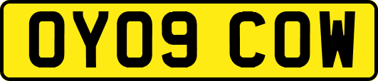 OY09COW