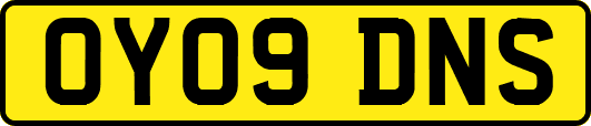 OY09DNS