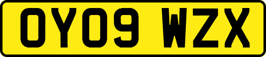OY09WZX