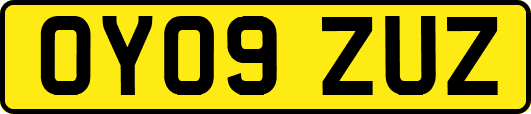 OY09ZUZ