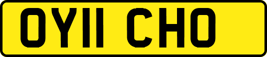 OY11CHO