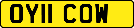 OY11COW