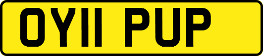 OY11PUP
