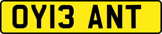 OY13ANT