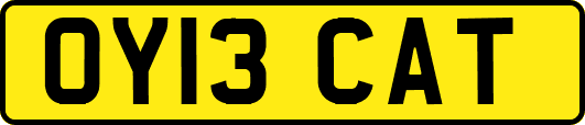 OY13CAT