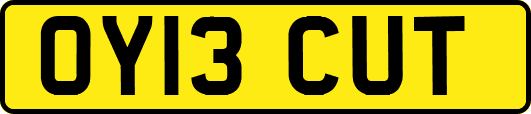 OY13CUT