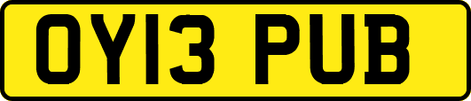 OY13PUB