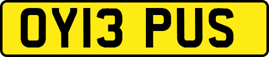 OY13PUS