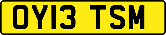 OY13TSM