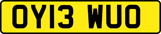 OY13WUO