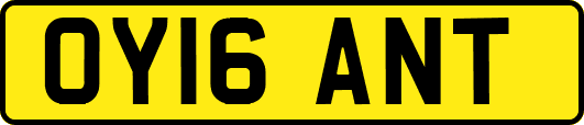 OY16ANT