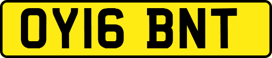 OY16BNT